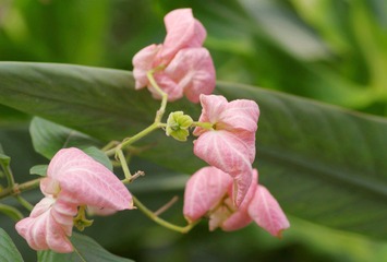 IMGP8536.JPG