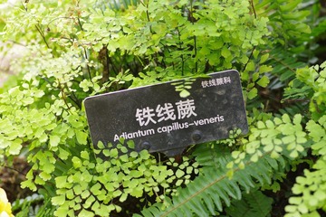 IMGP8553.JPG