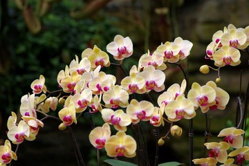 IMGP8554.JPG