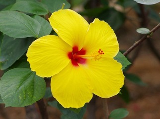IMGP8555.JPG
