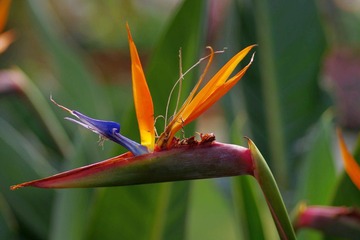 IMGP8574.JPG