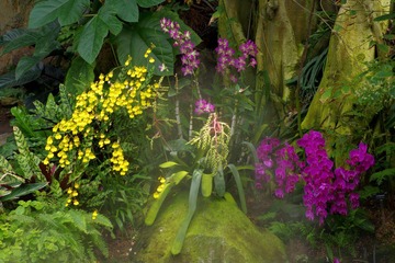 IMGP8594.JPG