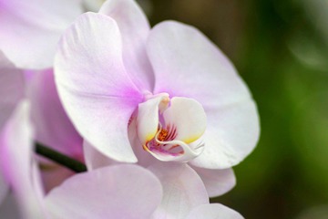 IMGP8599.JPG