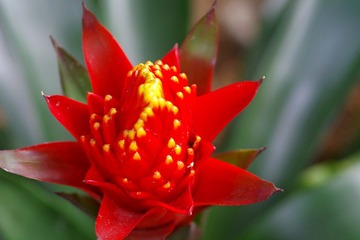 IMGP8610.JPG