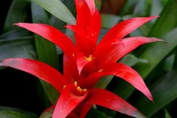 IMGP8614.JPG