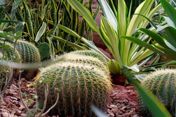 IMGP8624.JPG
