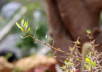 IMGP8629.JPG