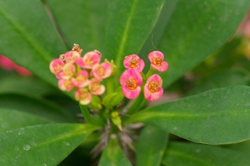 IMGP8632.JPG
