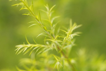 IMGP8665.JPG