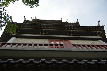 IMGP8734.JPG