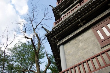 IMGP8735.JPG