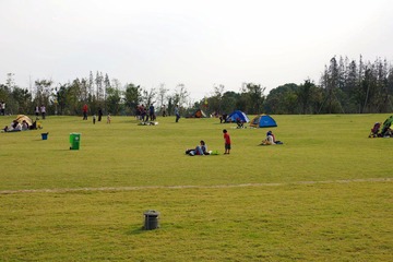 IMGP8784.JPG