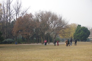 IMGP8934大地.JPG