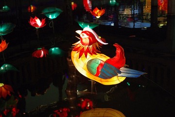 IMGP0233.JPG