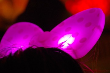 IMGP0248.JPG