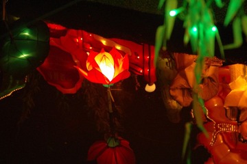 IMGP0272.JPG
