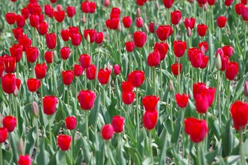 IMGP8792.JPG
