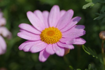 IMGP8821.JPG