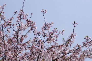 IMGP8844.JPG