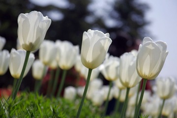 IMGP8859.JPG