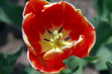 IMGP8864.JPG