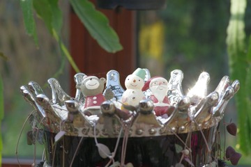 IMGP9060.JPG
