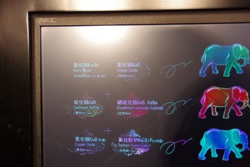 IMGP9117.JPG