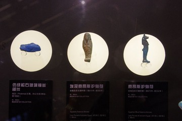 IMGP9130.JPG