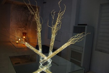 IMGP9247.JPG