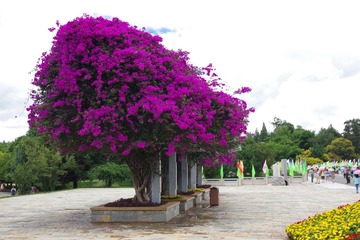 IMGP0406.JPG