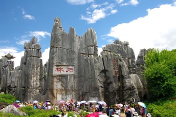 IMGP0421.JPG