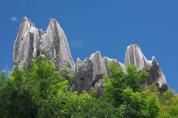 IMGP0422.JPG