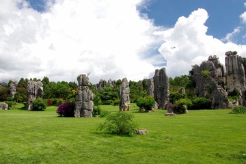IMGP0479.JPG