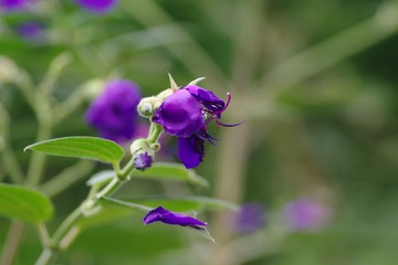 IMGP0495.JPG