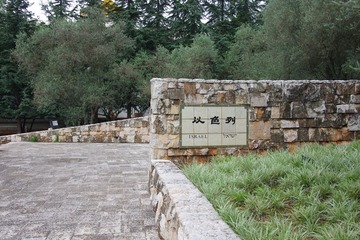 IMGP0543.JPG