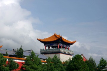 IMGP0803.JPG