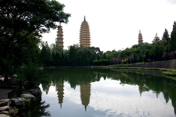 IMGP0818.JPG