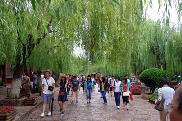 IMGP0875.JPG