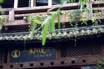 IMGP0880.JPG