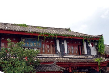 IMGP0916.JPG