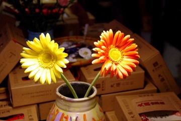 IMGP1016.JPG