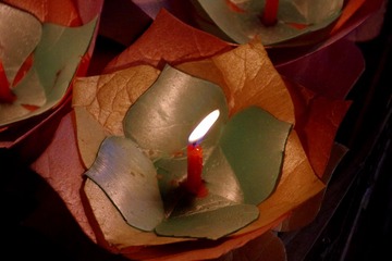 IMGP1033.JPG