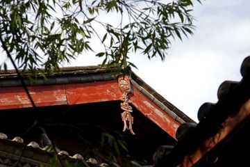 IMGP1091.JPG