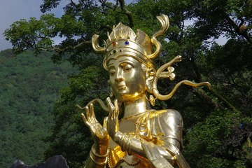 IMGP1128.JPG