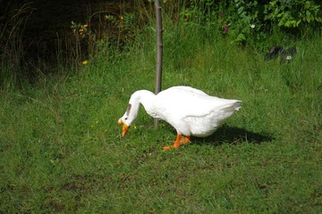 IMGP1143.JPG
