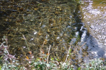IMGP1145.JPG