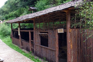 IMGP1186.JPG