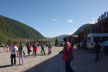 IMGP9319.JPG