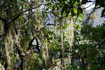 IMGP9366.JPG