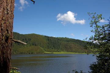 IMGP9371.JPG
